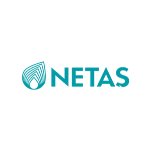 Netaş